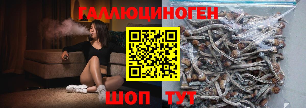 Псилоцибиновые грибы MAGIC MUSHROOMS  Вход с VPN  сколько стоит  Егорьевск 