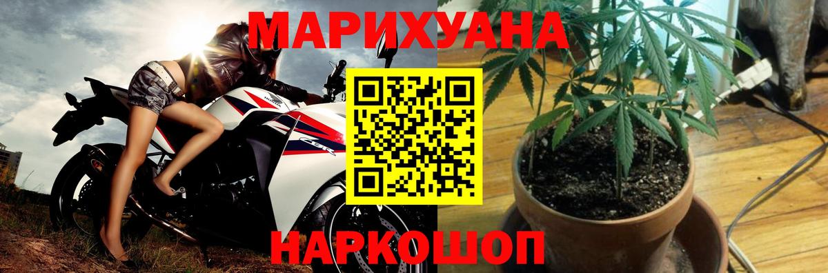 Шишки марихуана планчик Егорьевск